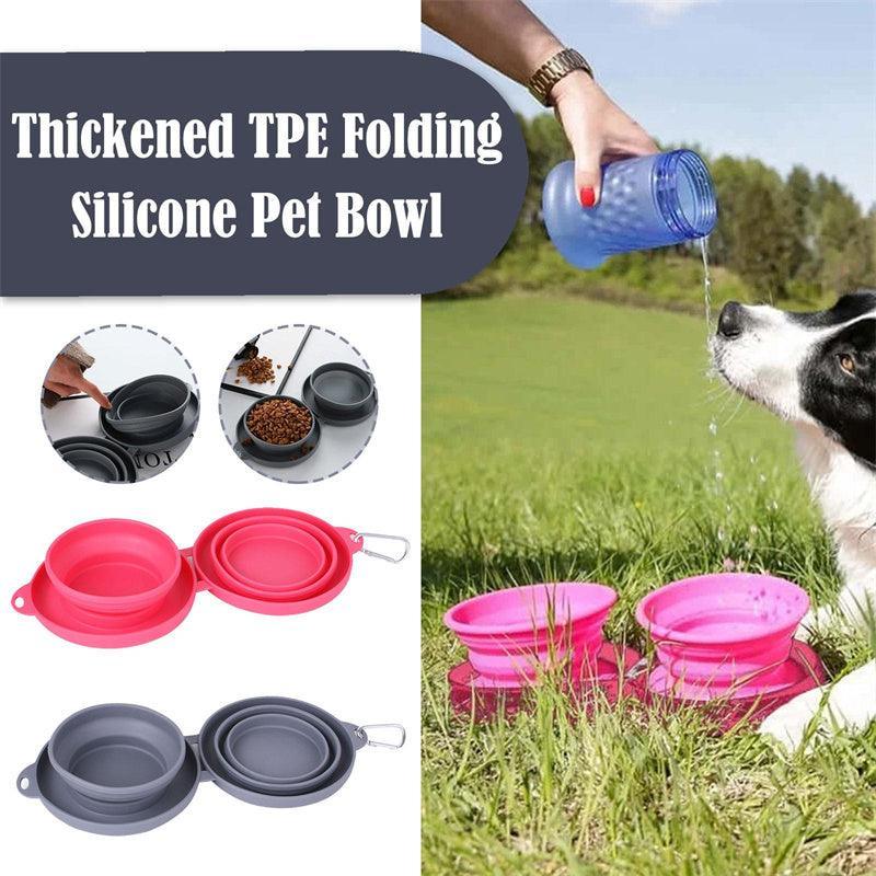 Double Collapsible Pet Feeding Bowl Set