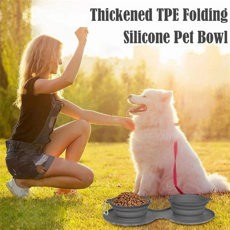 Double Collapsible Pet Feeding Bowl Set
